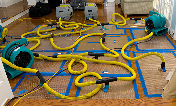 Professional Crawl Space Water Removal technician working in Rogers, ND
